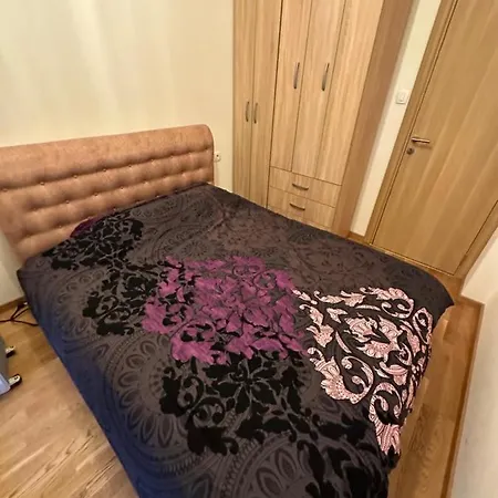 Irina Centre Apartment Podgorica Exterior photo